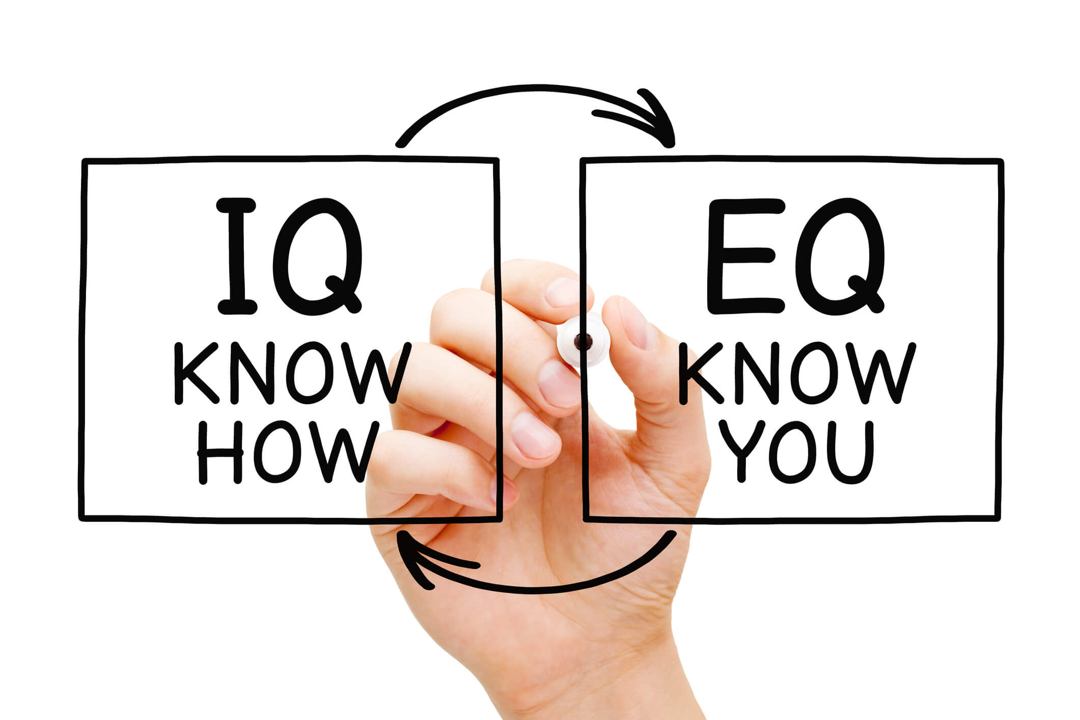 Hand writing IQ Know How and EQ Know You with marker on transparent wipe board isolated on white. Intelligence quotient and Emotional intelligence quotient concept."n