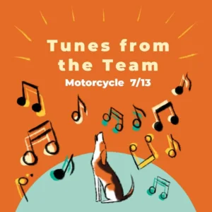graphic for Tuns from the Team - motorcycles