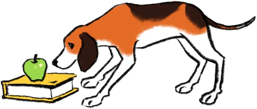 UX case studies that drive real results 15 dog sniffing book