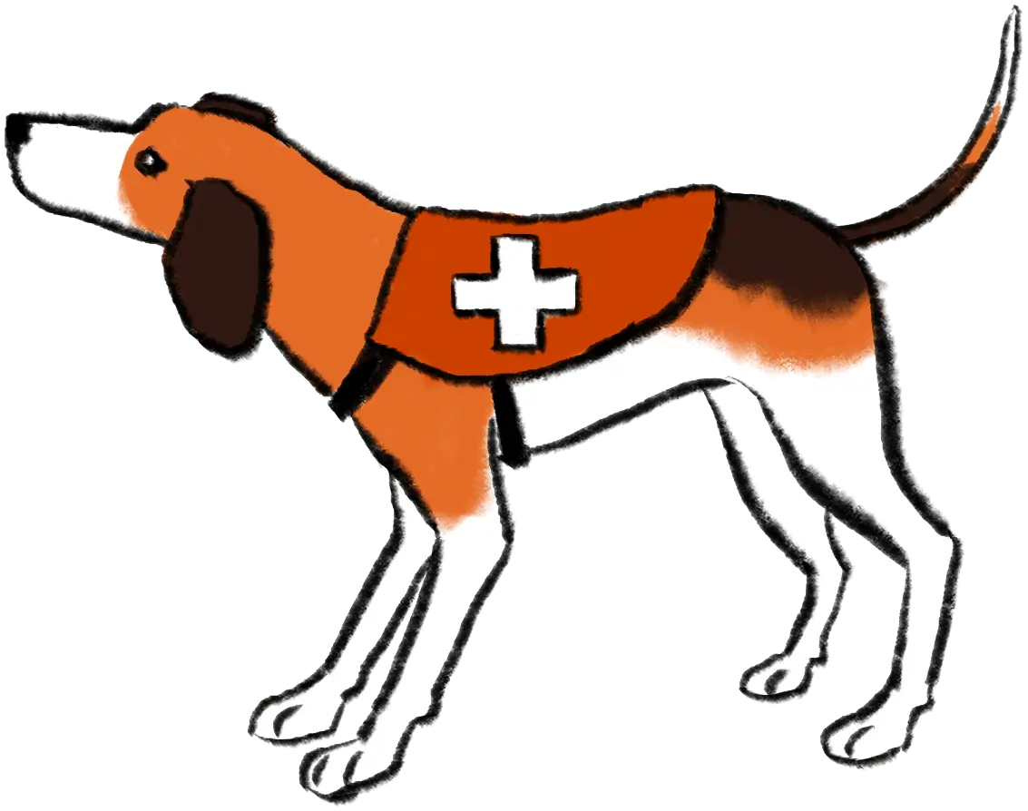 Medical research platform design: Improving navigation for enhanced usability 6 illustration shows dog with medical vest