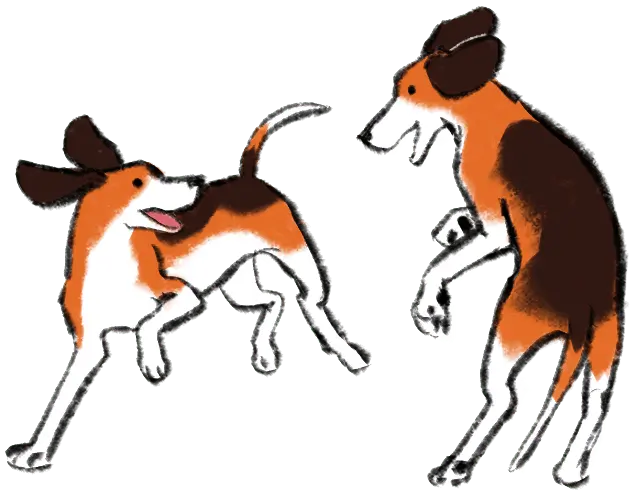 illustration shows two dogs playing with each other