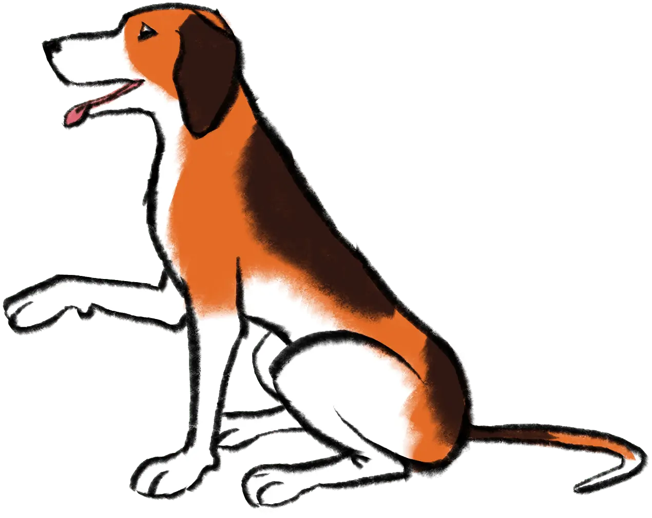 Public media digital strategy: Unifying digital properties for seamless UX 5 illustration show seated dog holding out one paw
