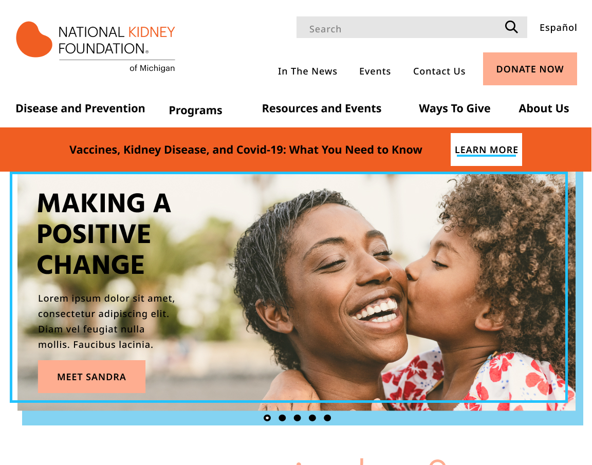 homepage screen from health non-profit website design