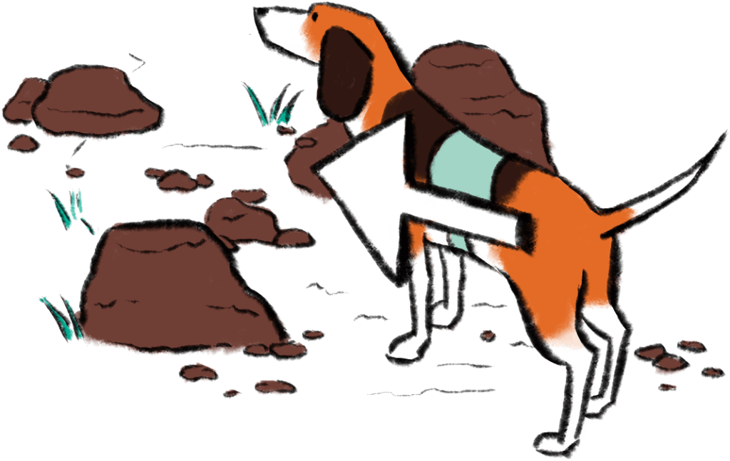 dog with coat pointing