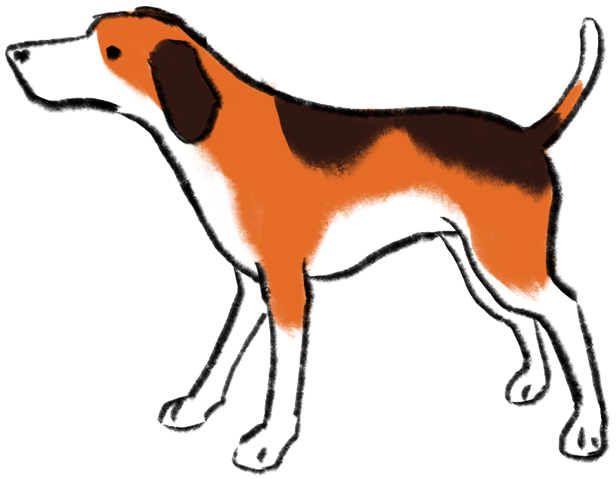 illustration shows dog with curious body language for design facilitation page