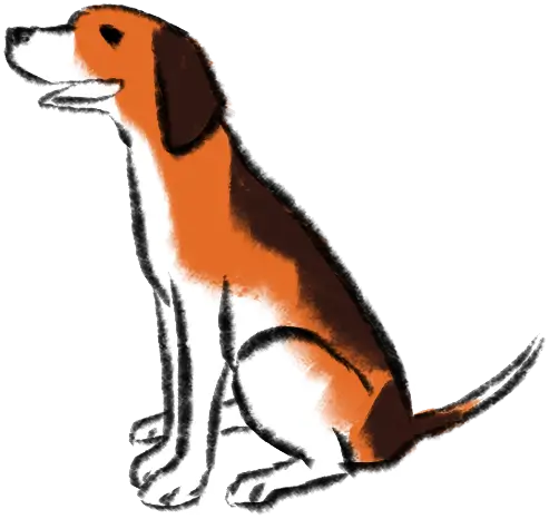 SaaS product UX 4 illustration of seated dog