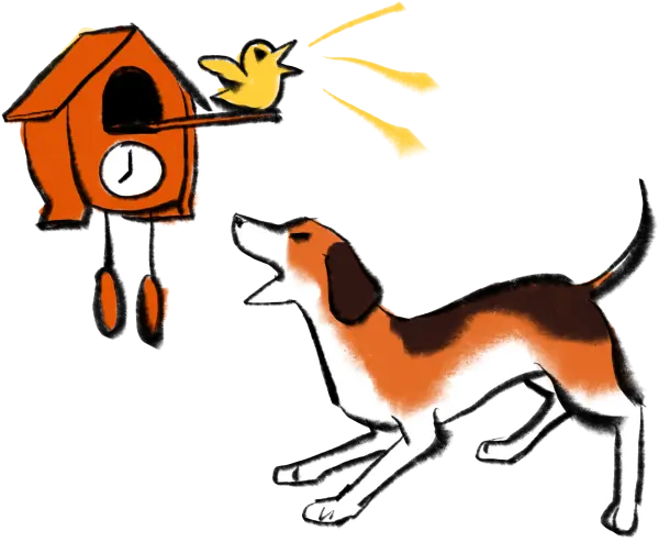 dog barking at cucko clock