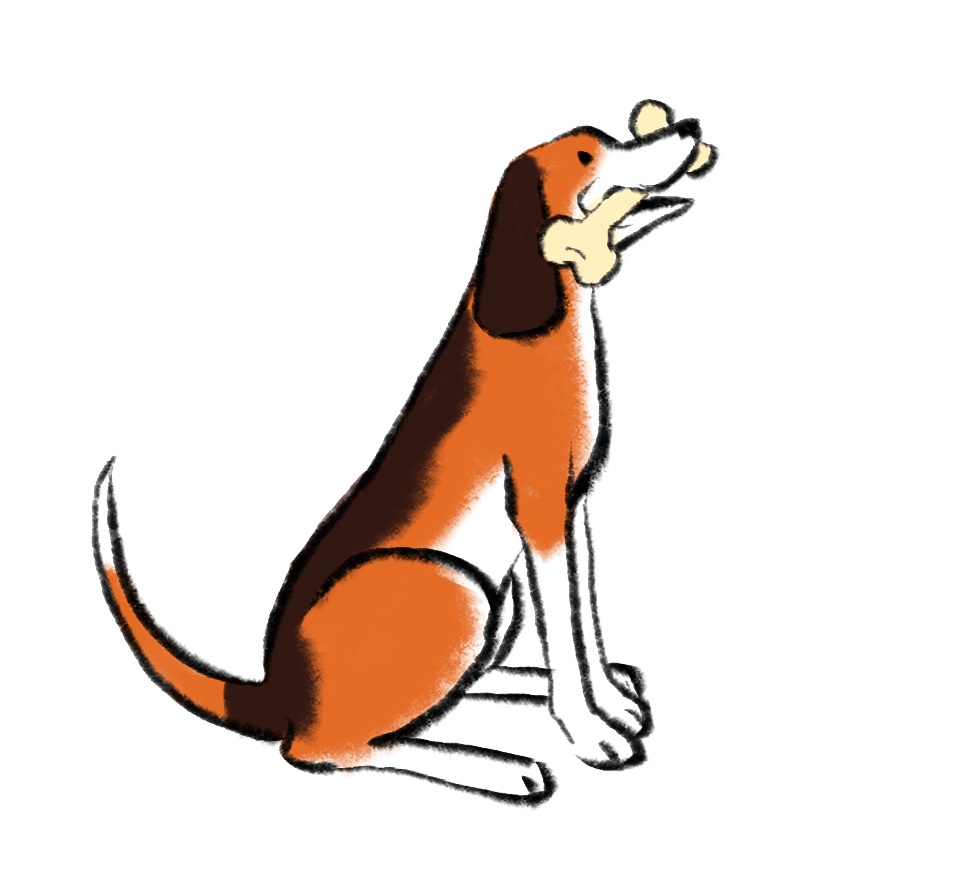 illustration shows seated dog holding bone in mouth