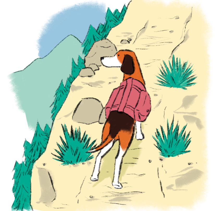 AI UX design agency 10 Illustration shows dog with coat standing on mountainside - hero image for Standard Beagle - the AI UX agency