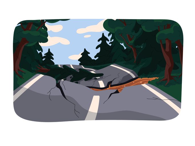 Forest, fallen fir tree, broken road with splits. Ruined asphalt, earth destruction. Illustration concept for article on UX strategies for SaaS product leaders